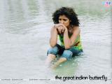 The Great Indian Butterfly (2010)